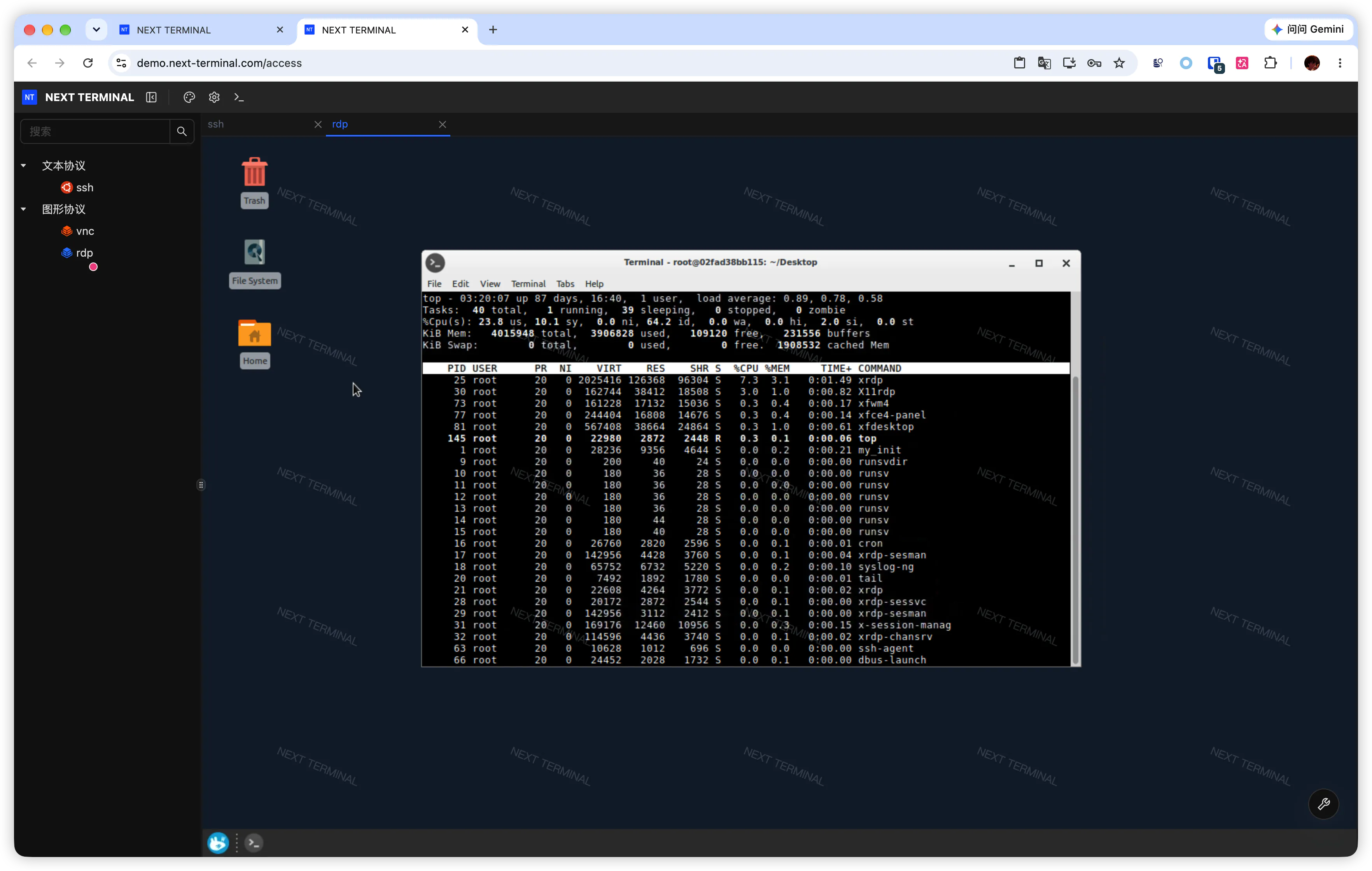 Next Terminal asset access interface